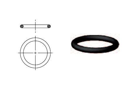 O-ring M22