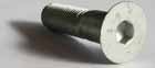 Bult M20x80 insex förs.
