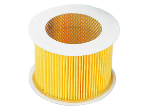 Luftfilterinsats ATPOPLSCAROLIO1